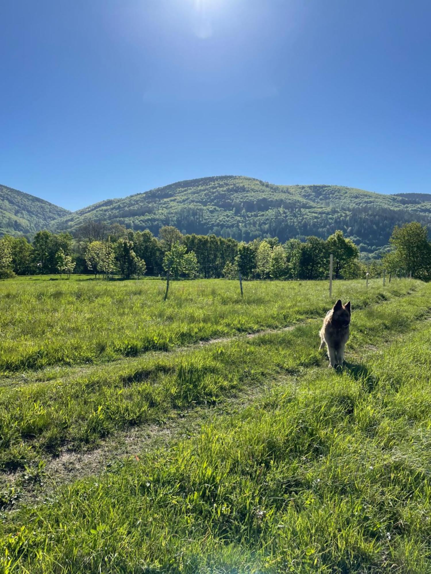 Swierkowy Zakatek Idzikow Esterno foto